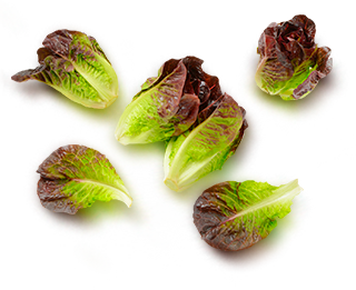 виды листовых салатов