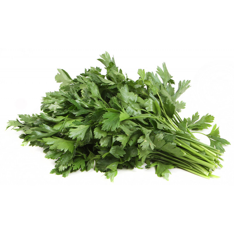 Петрушка holy om 10 г. Петрушка petroselinum. Петрушка остролистный. Зелень кориандр. Пучок петрушки.