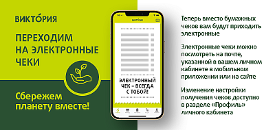 Электронные чеки