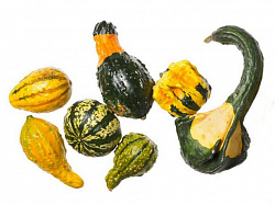Тыква декоративная микс