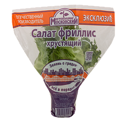 Салат Московский Фриллис Премиум в горшочке